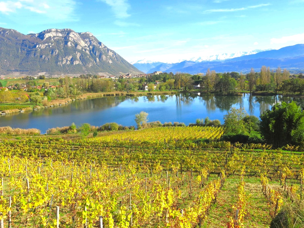 Les Fabuleux Vignobles autour du Mont-Blanc, voyage vin, voyage vin france, voyage vin suisse, voyage vin italie, voyage vignoble, voyage haut de gamme, voyage haut de gamme france, voyage haut de gamme vin