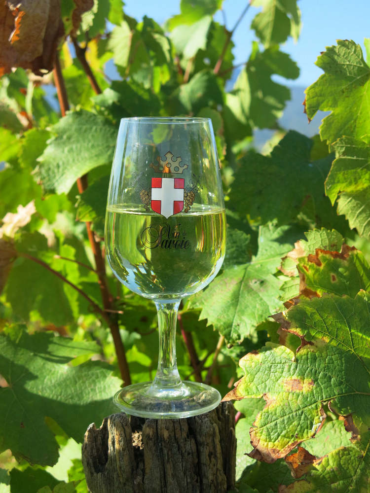 Vins de Savoie, verre INAO Savoie, sarment de vigne, pied, jambe, calice ou oeil et buvant